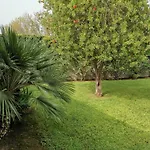Guest house Casa Pito Pito Alghero